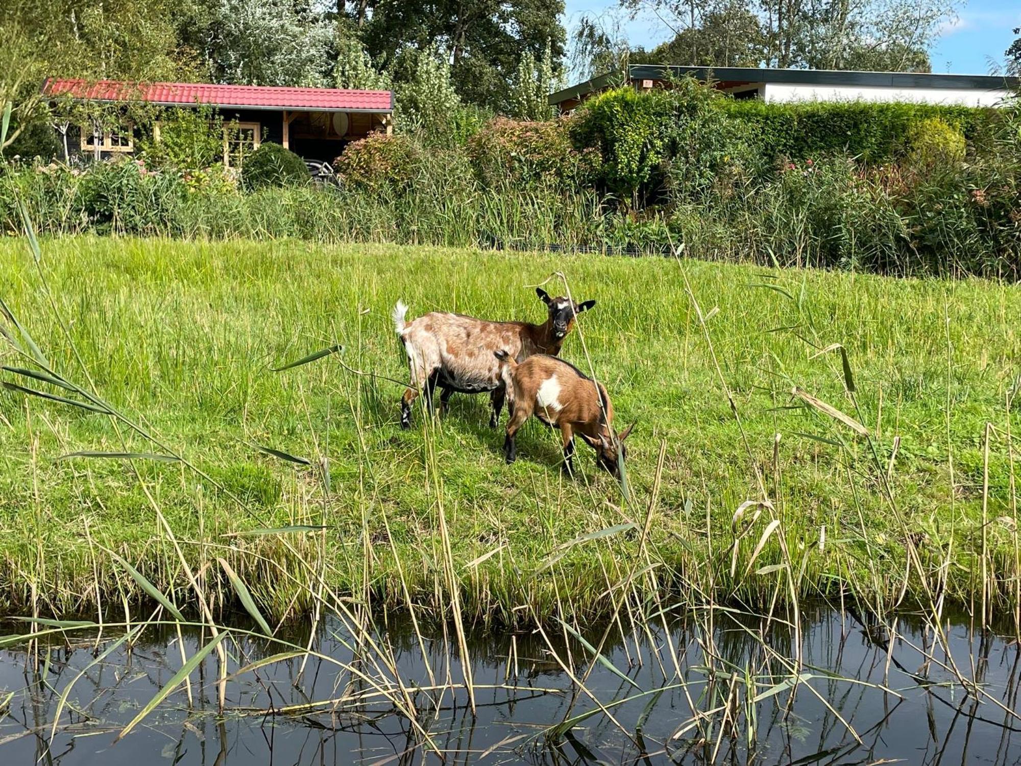 Huisje Op De Dijk Kortenhoef Exterior foto